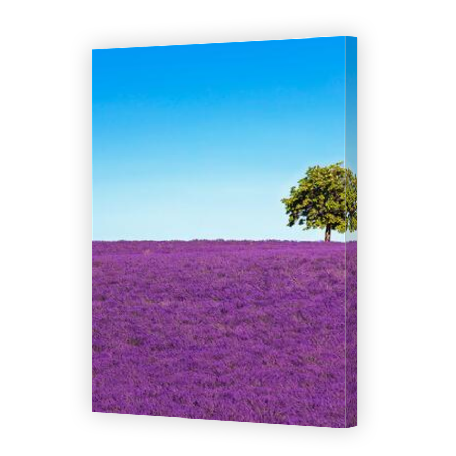 Thumbnail for Canvas - Gallery Canvas Wrap