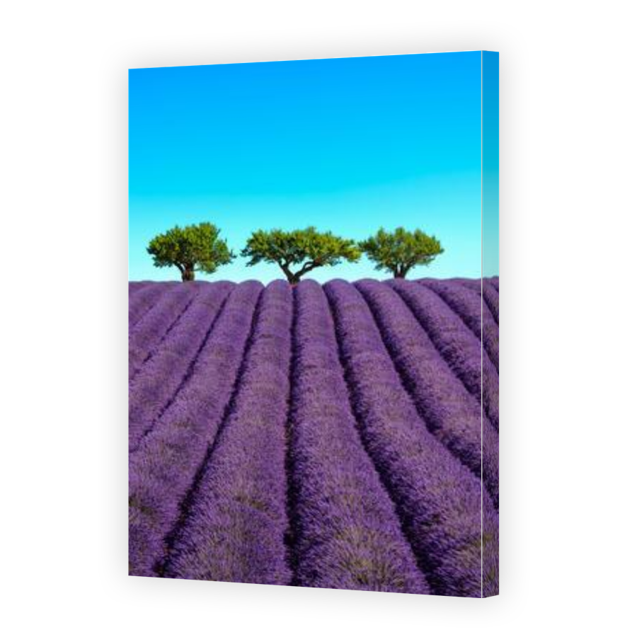 Thumbnail for Canvas - Gallery Canvas Wrap