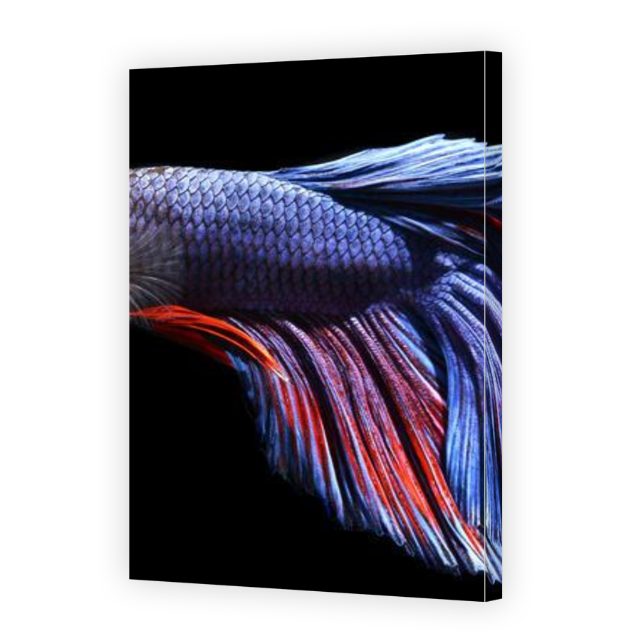 Thumbnail for Canvas - Gallery Canvas Wrap