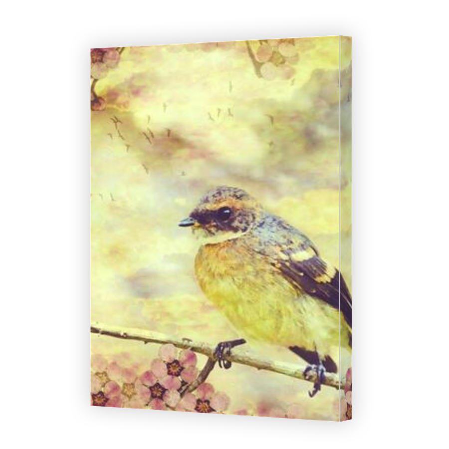 Thumbnail for Canvas - Gallery Canvas Wrap