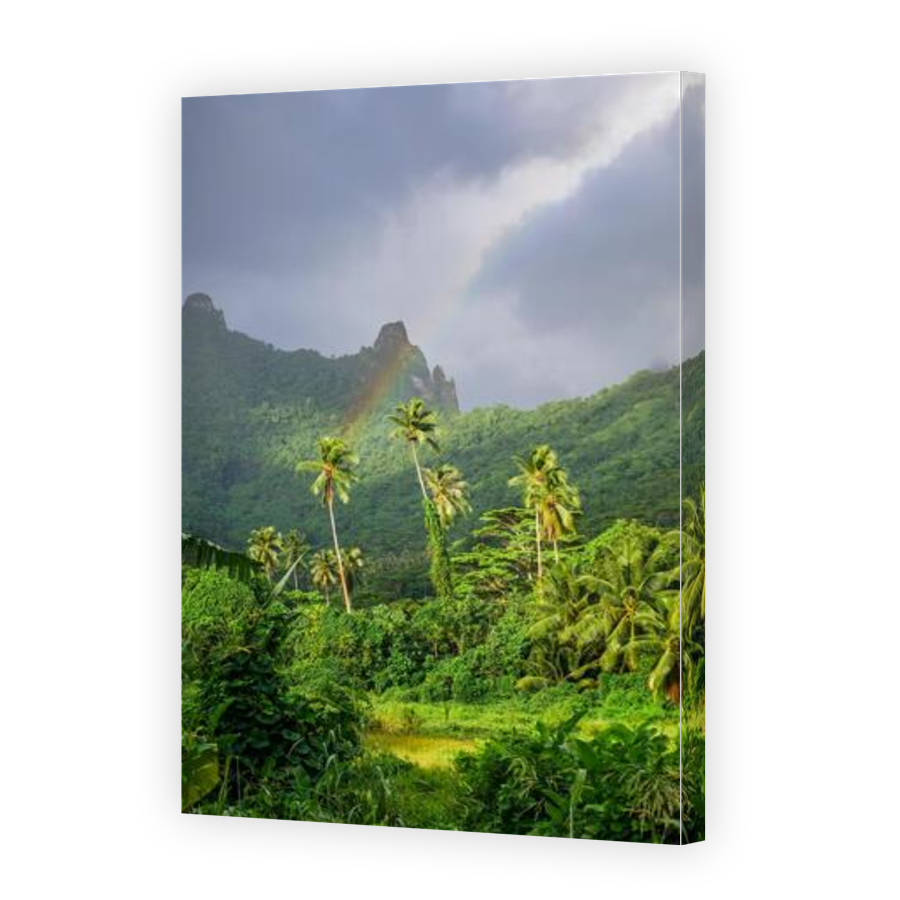 Thumbnail for Canvas - Gallery Canvas Wrap