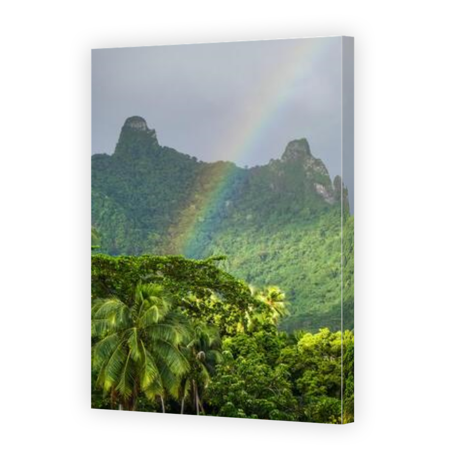 Thumbnail for Canvas - Gallery Canvas Wrap