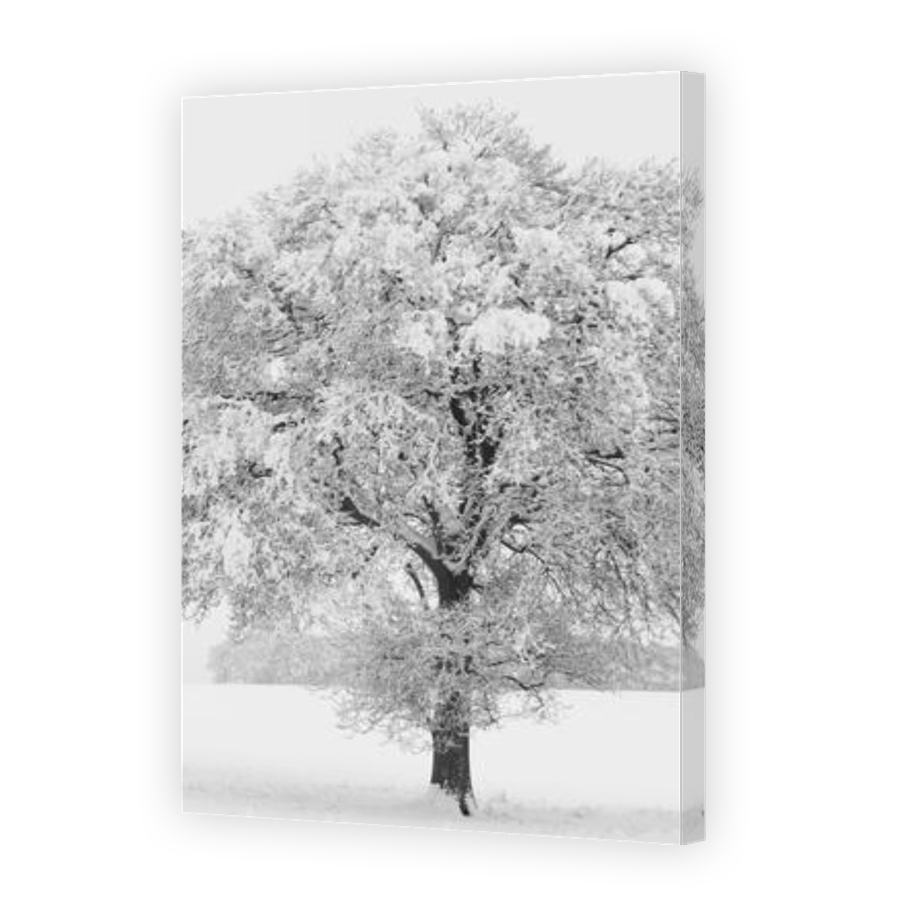Thumbnail for Canvas - Gallery Canvas Wrap