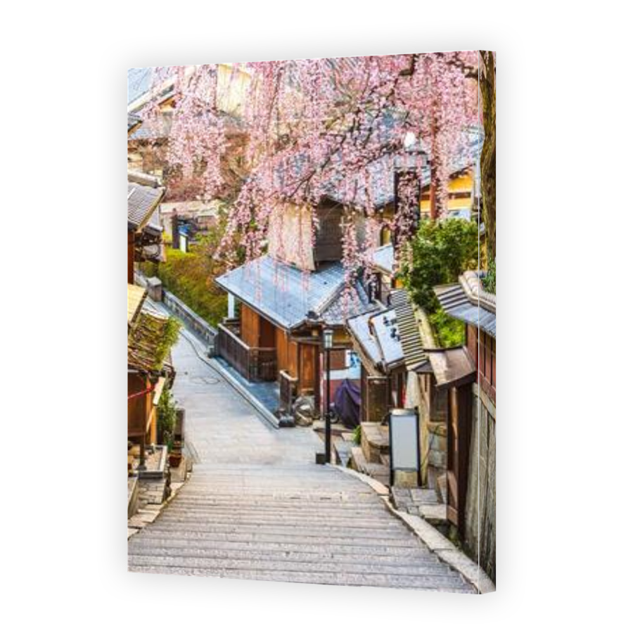 Thumbnail for Canvas - Gallery Canvas Wrap