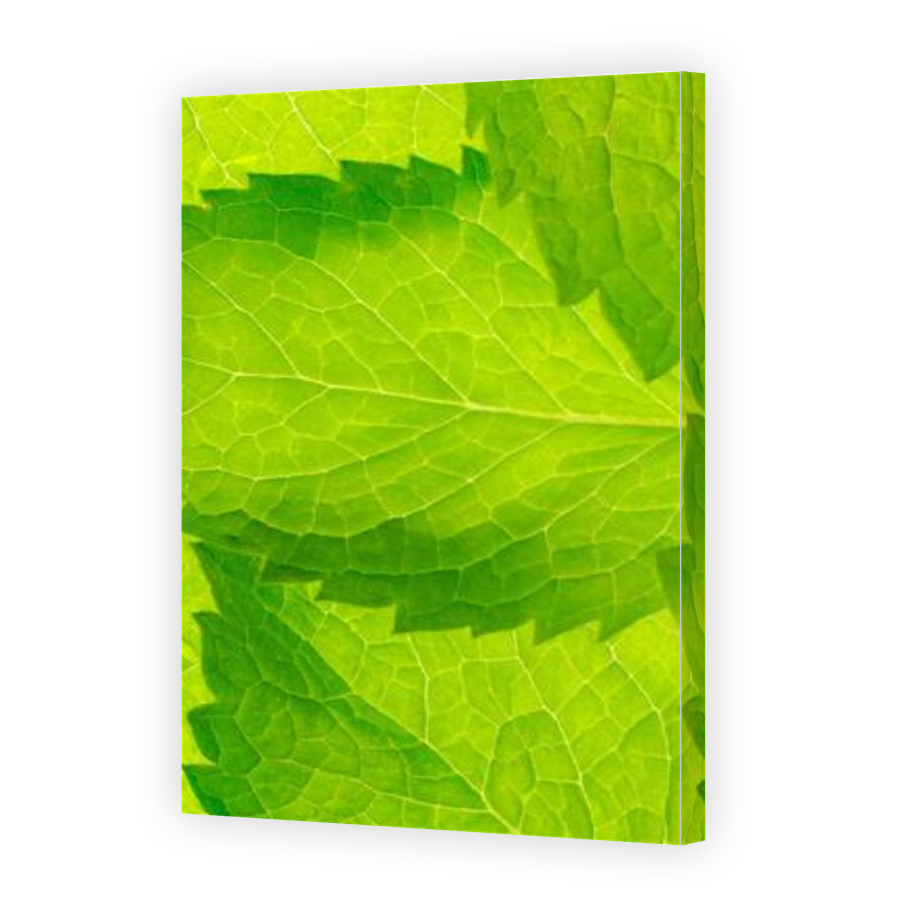 Thumbnail for Canvas - Gallery Canvas Wrap