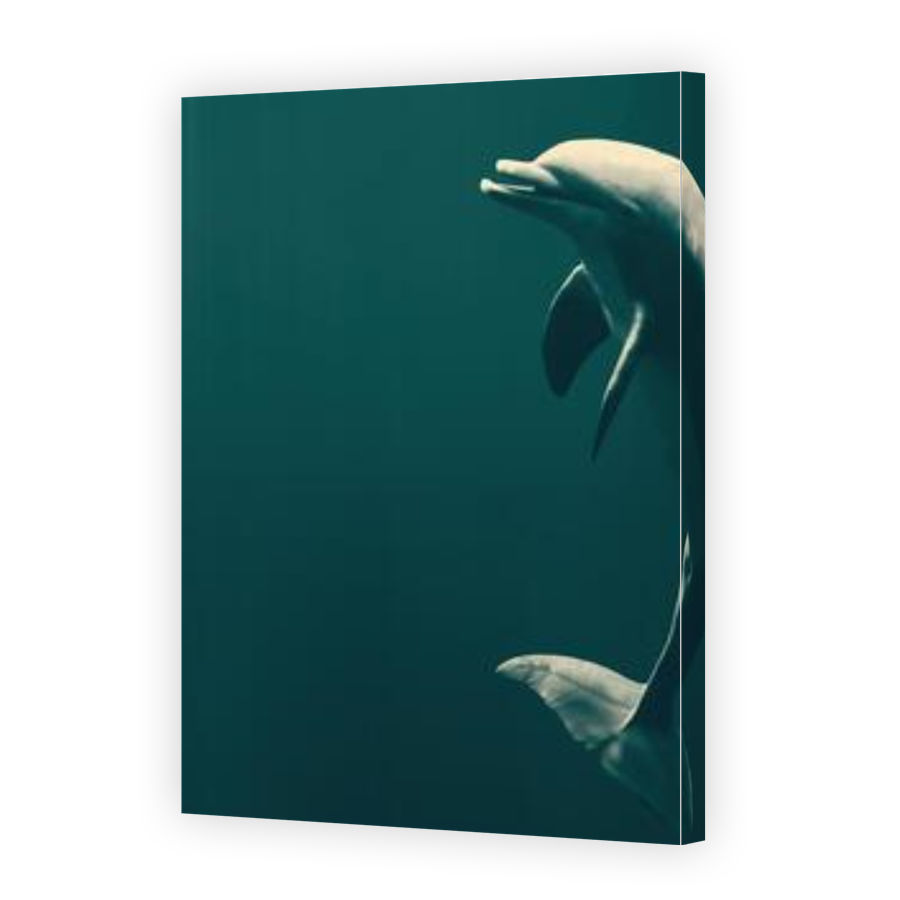 Thumbnail for Canvas - Gallery Canvas Wrap