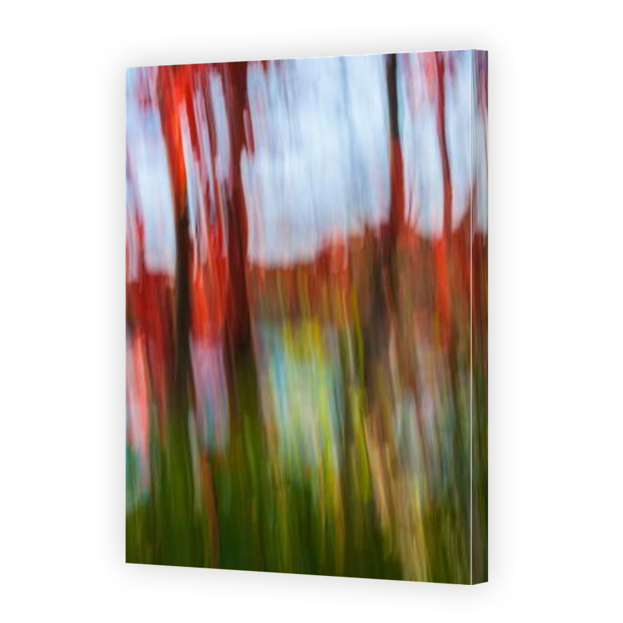 Thumbnail for Canvas - Gallery Canvas Wrap
