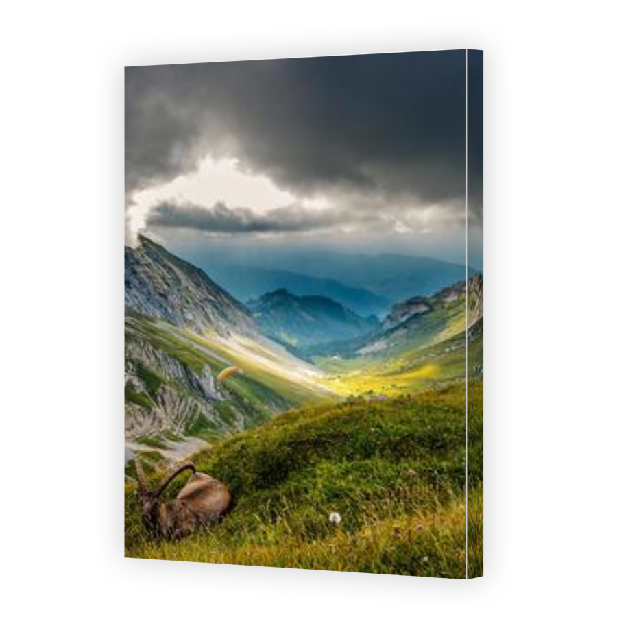 Thumbnail for Canvas - Gallery Canvas Wrap
