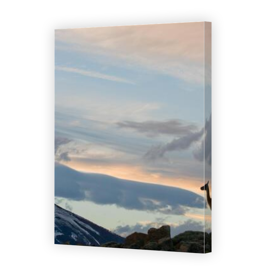 Thumbnail for Canvas - Gallery Canvas Wrap