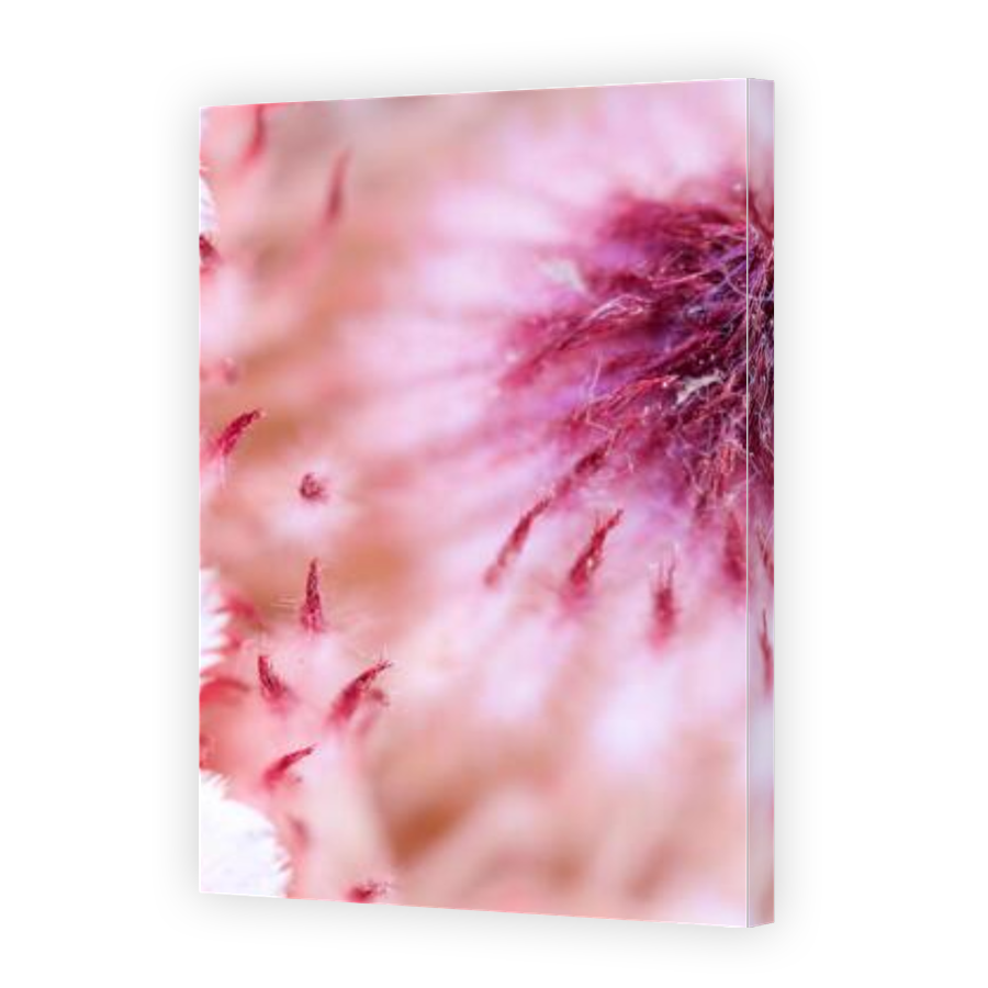 Thumbnail for Canvas - Gallery Canvas Wrap