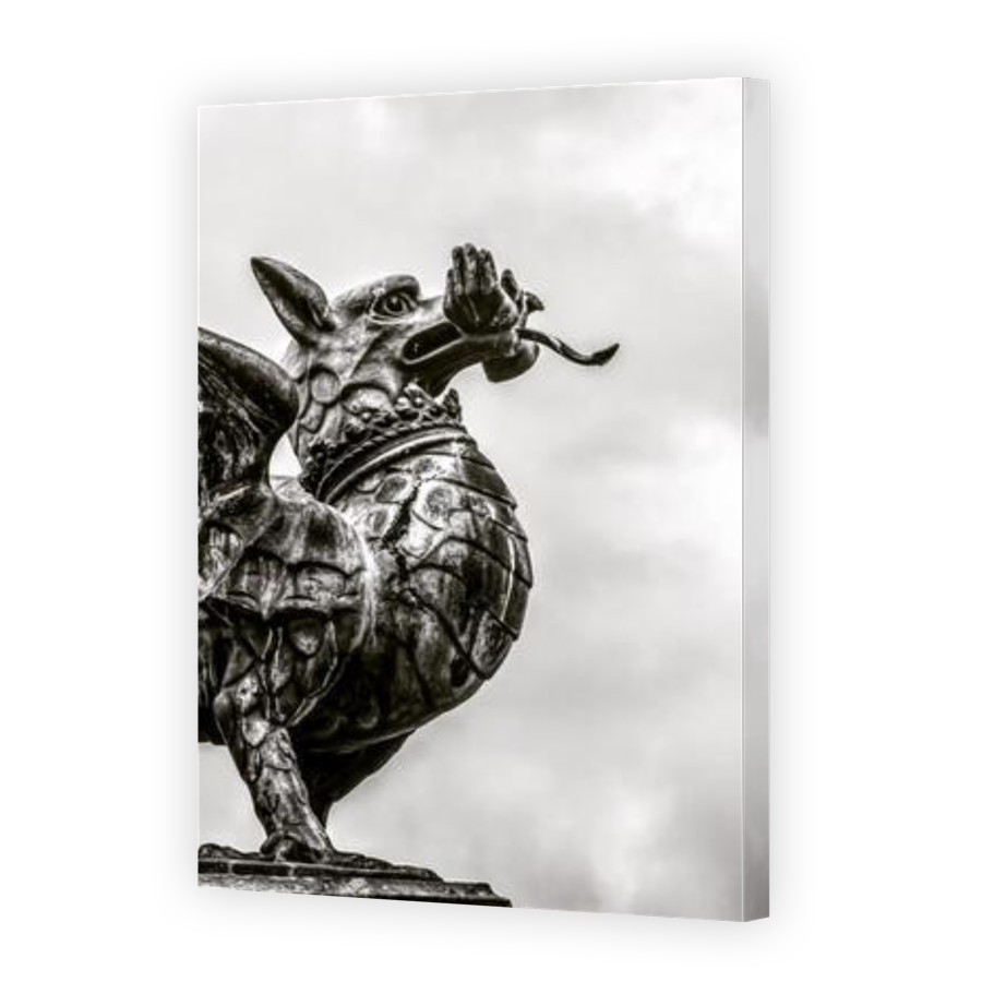 Thumbnail for Canvas - Gallery Canvas Wrap