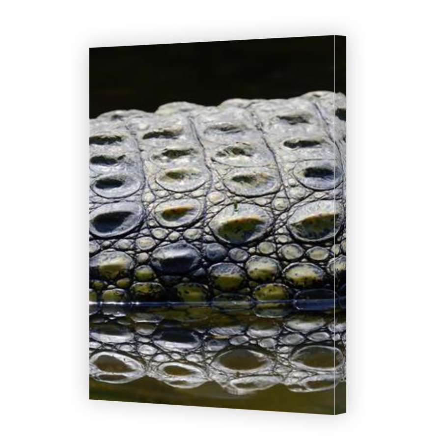 Thumbnail for Canvas - Gallery Canvas Wrap