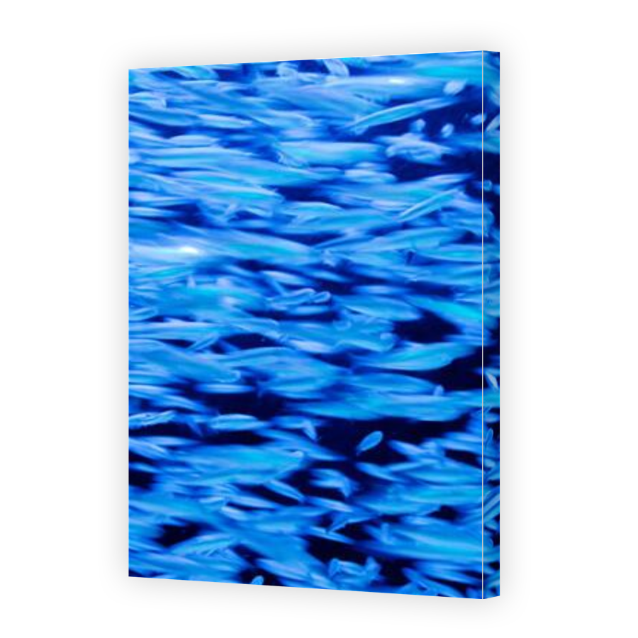 Thumbnail for Canvas - Gallery Canvas Wrap