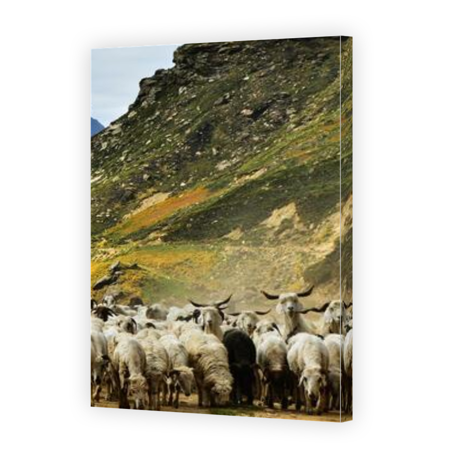 Thumbnail for Canvas - Gallery Canvas Wrap