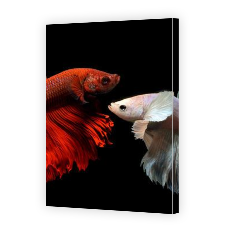 Thumbnail for Canvas - Gallery Canvas Wrap