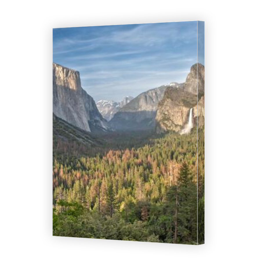 Thumbnail for Canvas - Gallery Canvas Wrap