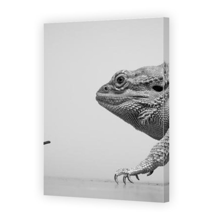 Thumbnail for Canvas - Gallery Canvas Wrap