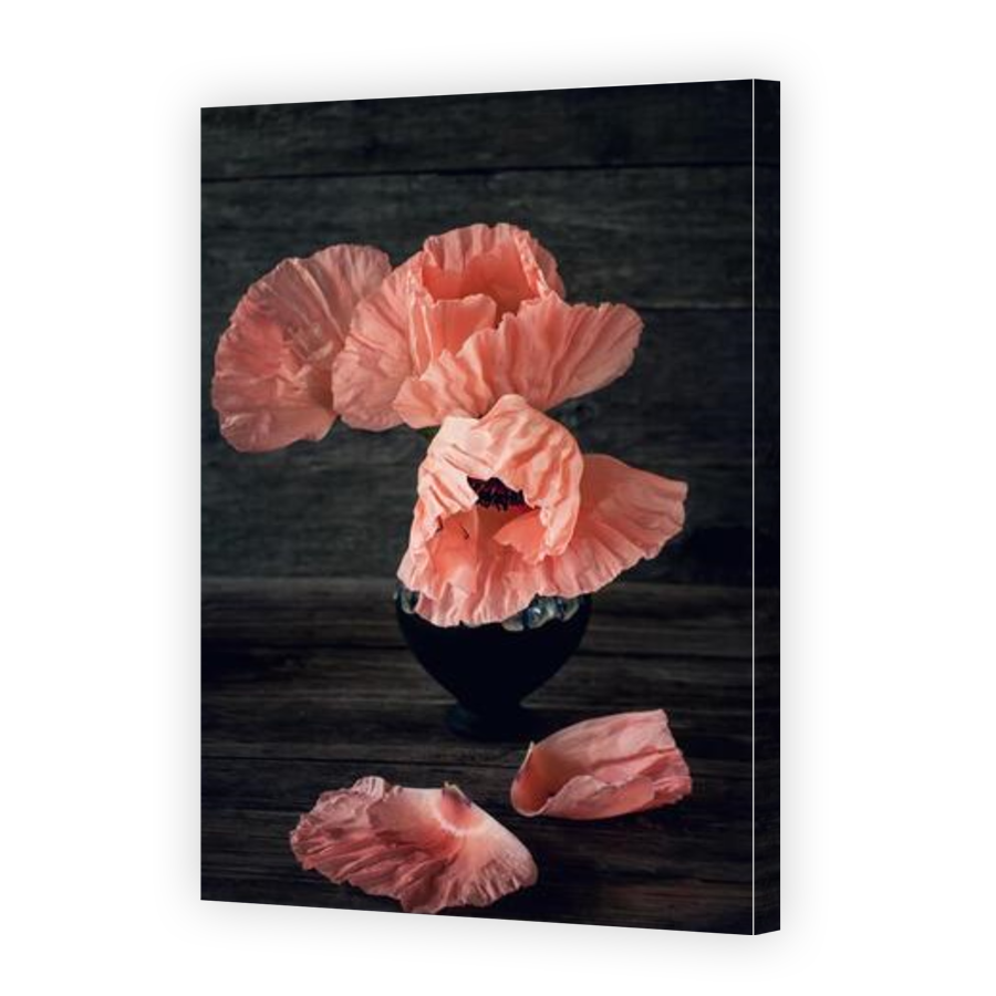 Thumbnail for Canvas - Gallery Canvas Wrap