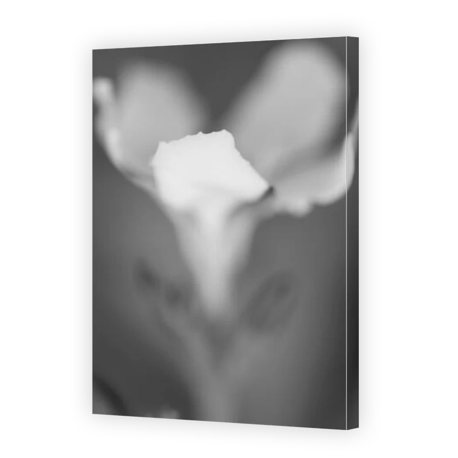 Thumbnail for Canvas - Gallery Canvas Wrap