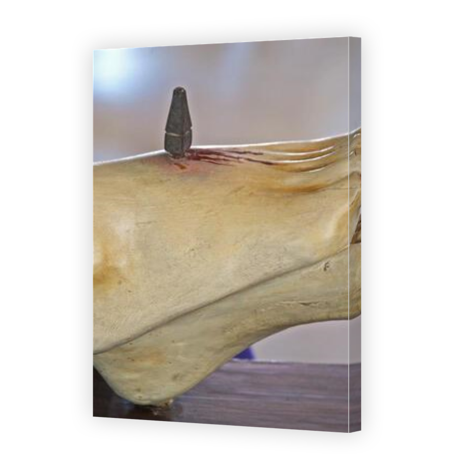 Thumbnail for Canvas - Gallery Canvas Wrap