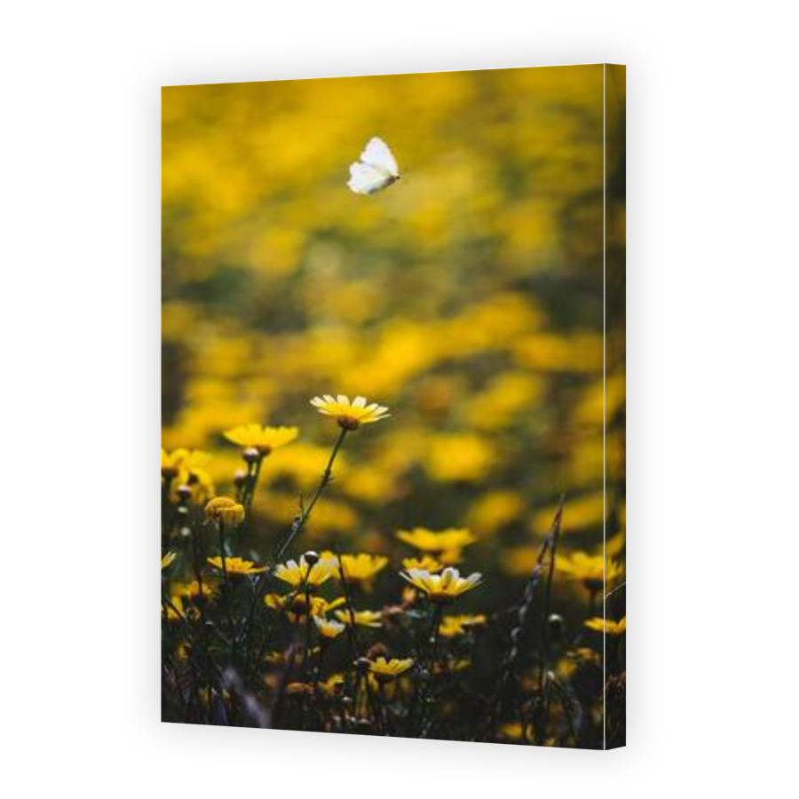 Thumbnail for Canvas - Gallery Canvas Wrap
