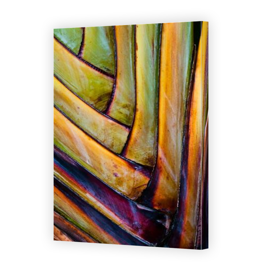 Thumbnail for Canvas - Gallery Canvas Wrap