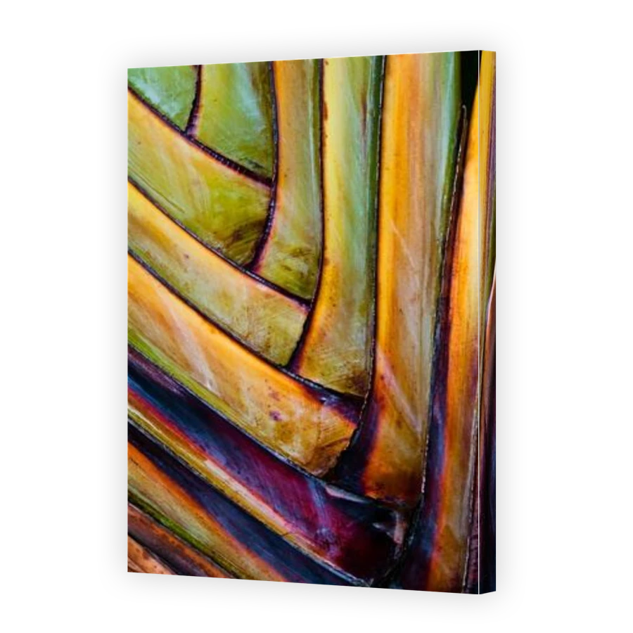 Thumbnail for Canvas - Gallery Canvas Wrap