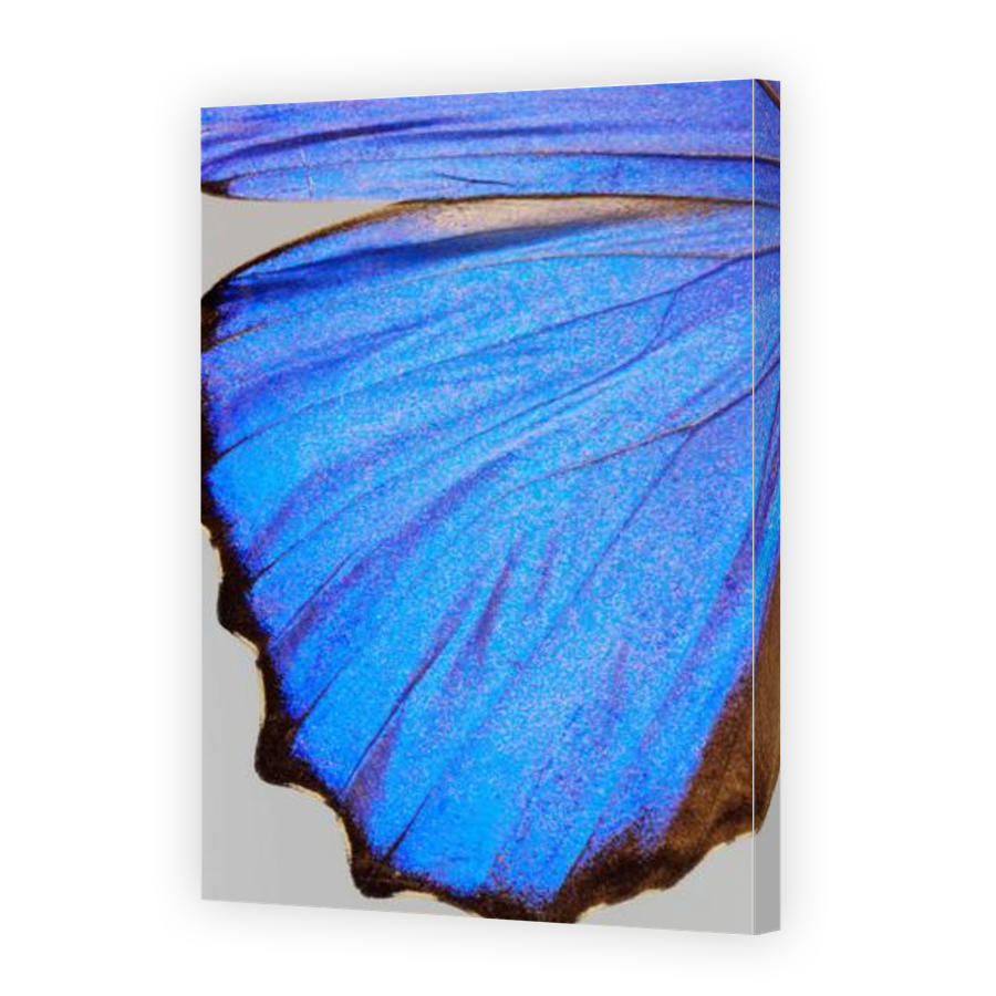 Thumbnail for Canvas - Gallery Canvas Wrap