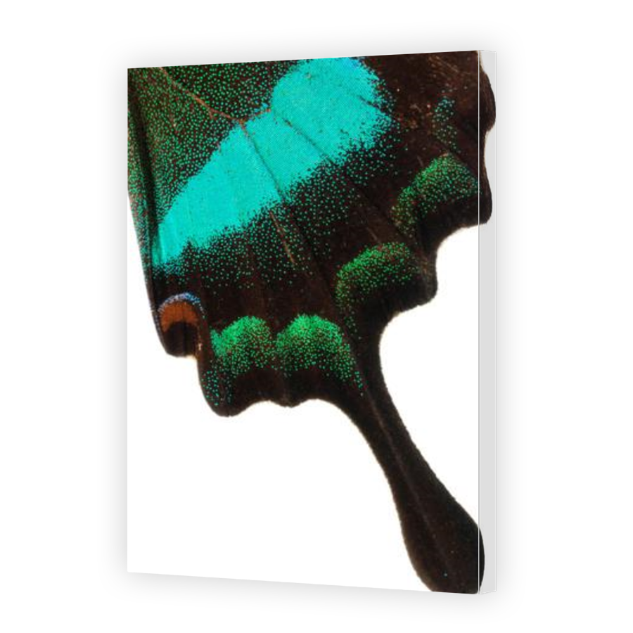 Thumbnail for Canvas - Gallery Canvas Wrap