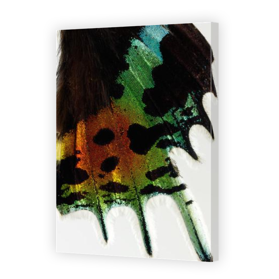 Thumbnail for Canvas - Gallery Canvas Wrap