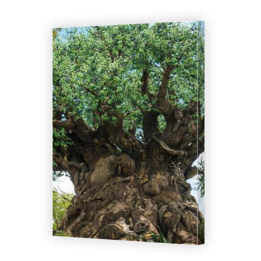 Thumbnail for Canvas - Gallery Canvas Wrap