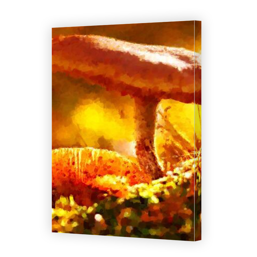 Thumbnail for Canvas - Gallery Canvas Wrap