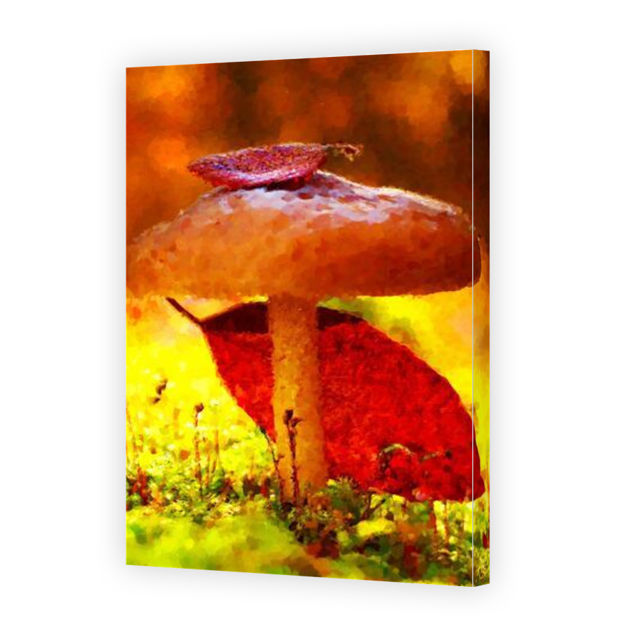 Thumbnail for Canvas - Gallery Canvas Wrap