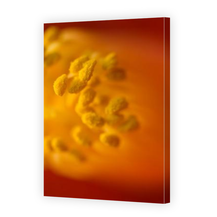 Thumbnail for Canvas - Gallery Canvas Wrap