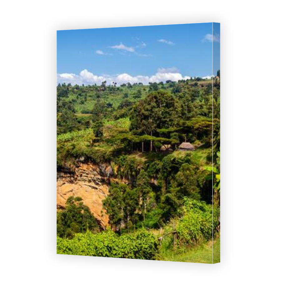 Thumbnail for Canvas - Gallery Canvas Wrap