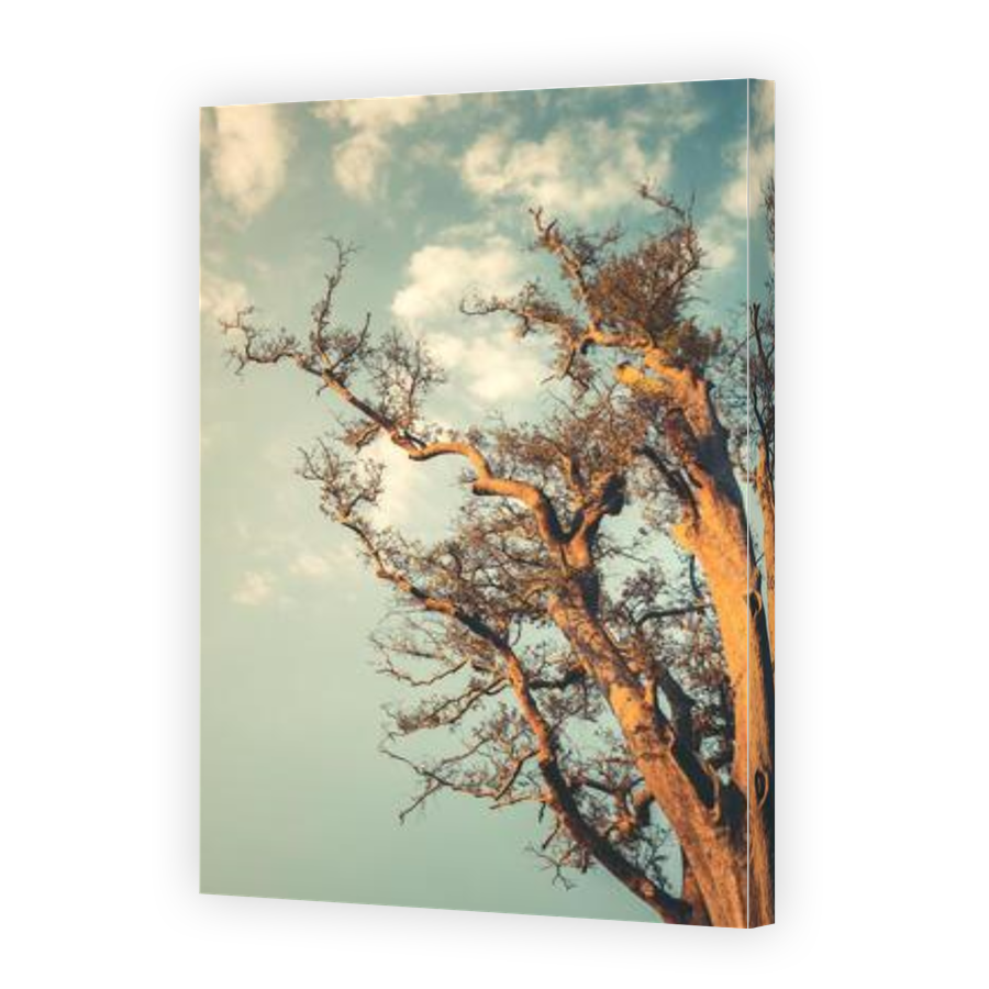 Thumbnail for Canvas - Gallery Canvas Wrap