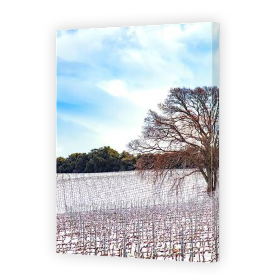 Thumbnail for Canvas - Gallery Canvas Wrap