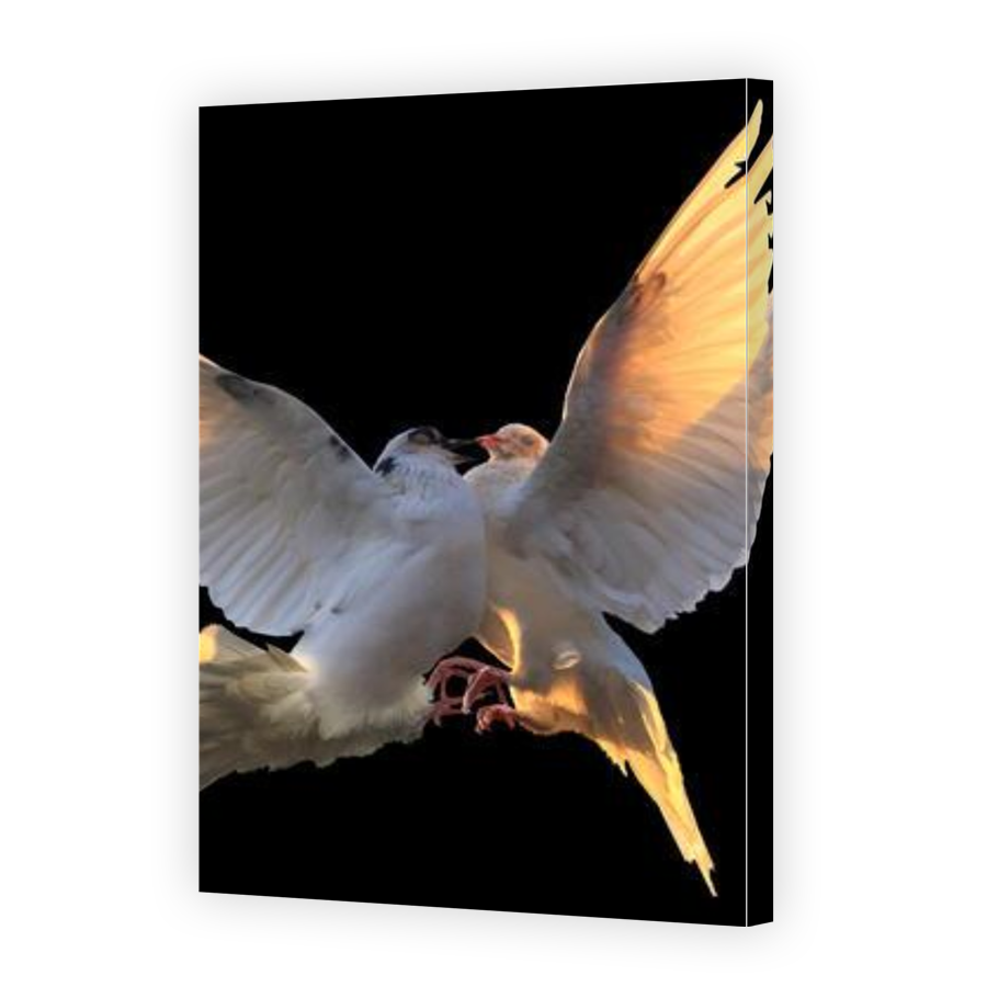 Thumbnail for Canvas - Gallery Canvas Wrap
