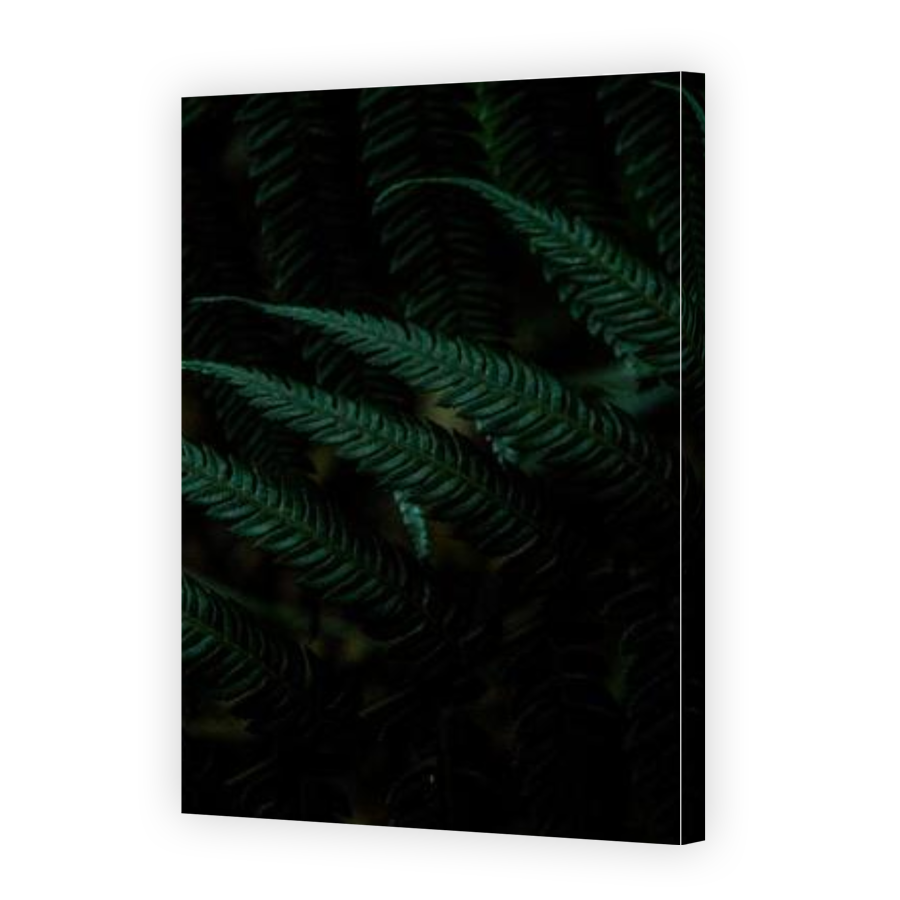 Thumbnail for Canvas - Gallery Canvas Wrap