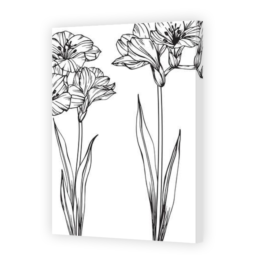 Thumbnail for Canvas - Gallery Canvas Wrap