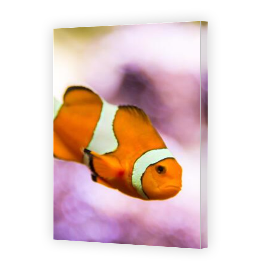 Thumbnail for Canvas - Gallery Canvas Wrap