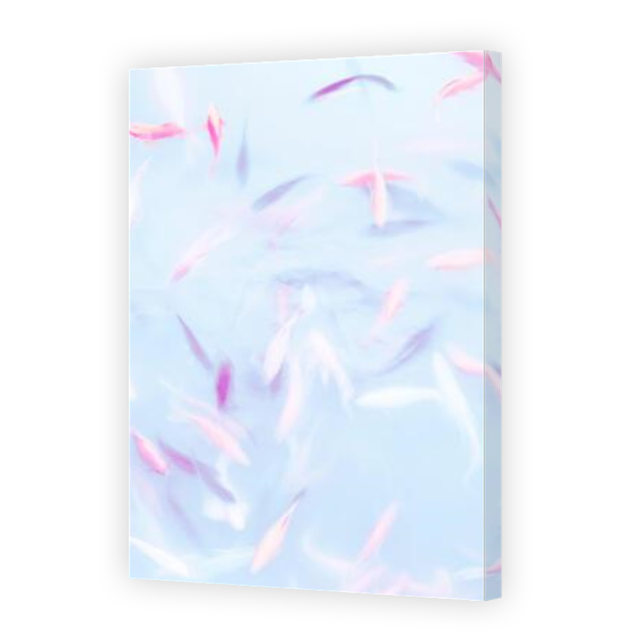 Thumbnail for Canvas - Gallery Canvas Wrap