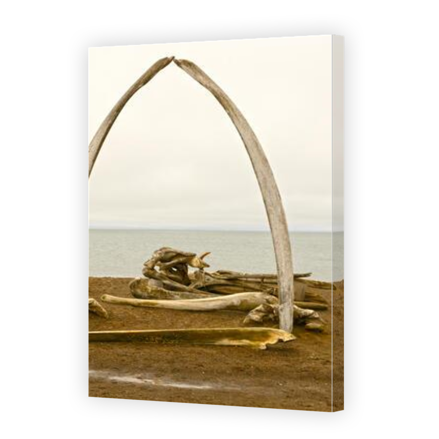 Thumbnail for Canvas - Gallery Canvas Wrap