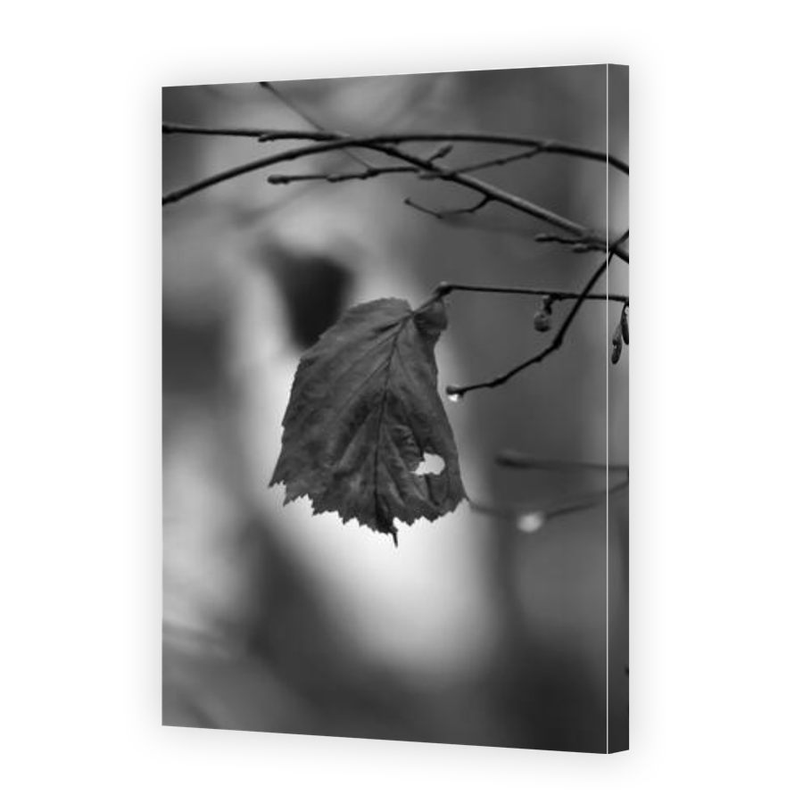 Thumbnail for Canvas - Gallery Canvas Wrap