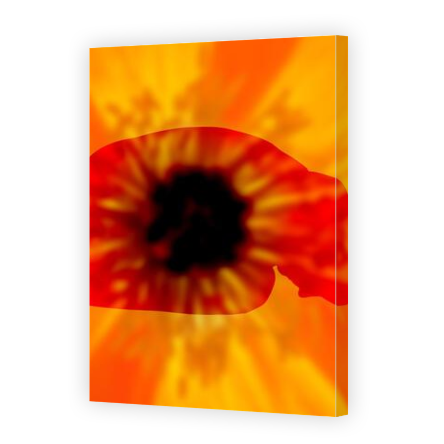 Thumbnail for Canvas - Gallery Canvas Wrap