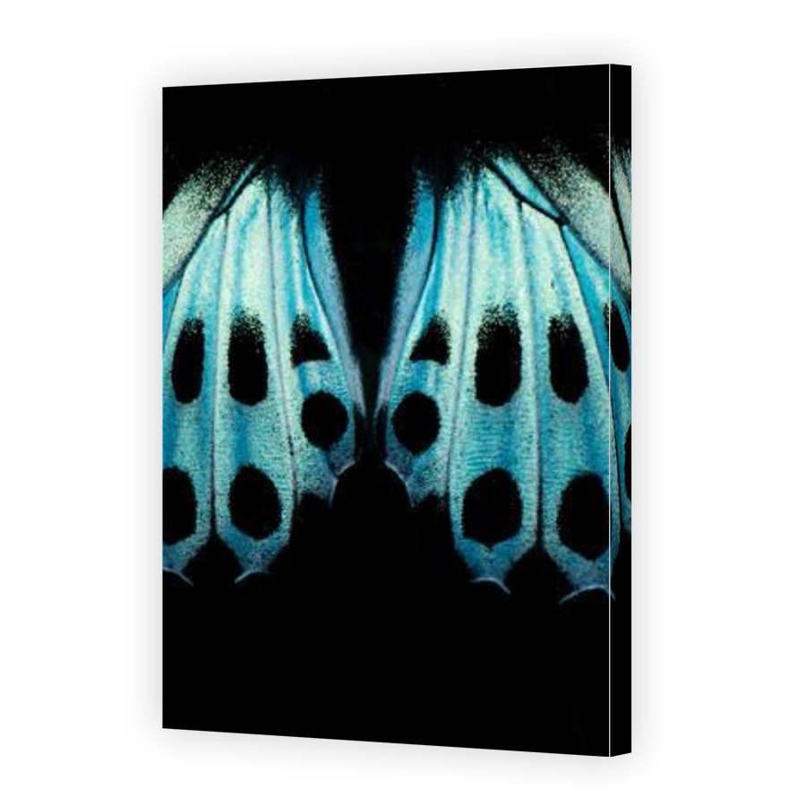 Thumbnail for Canvas - Gallery Canvas Wrap
