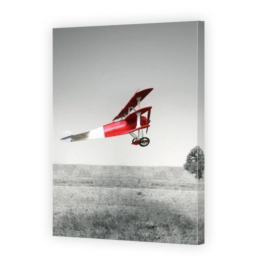 Thumbnail for Canvas - Gallery Canvas Wrap