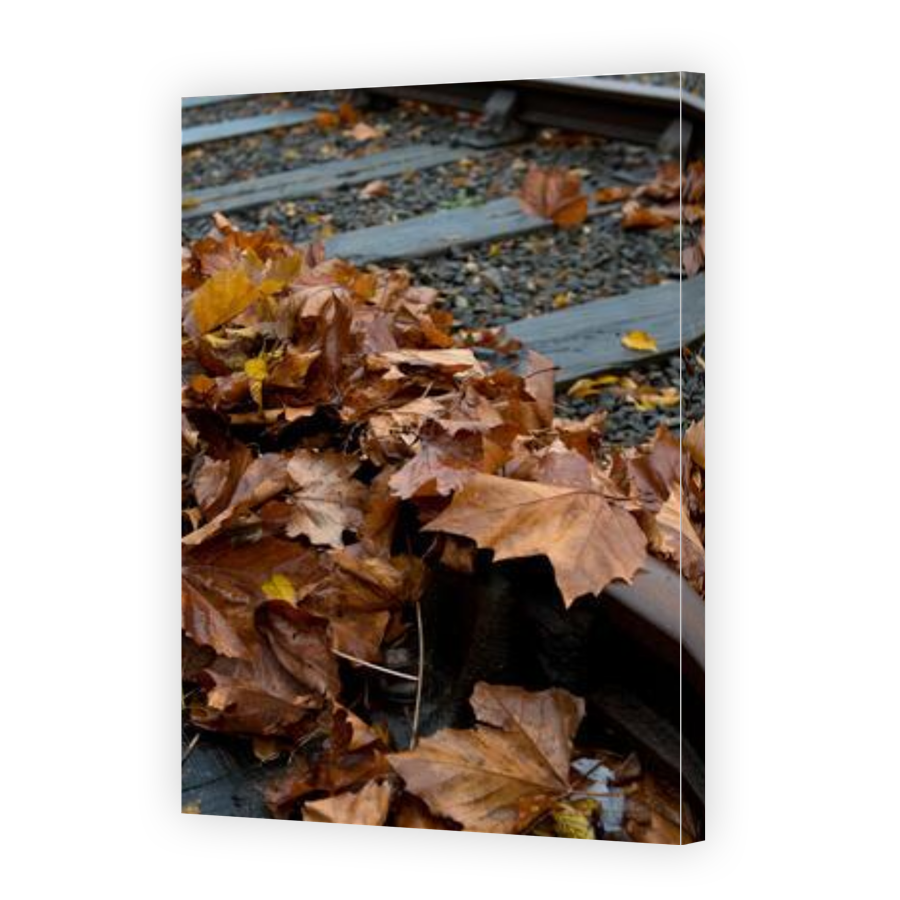 Thumbnail for Canvas - Gallery Canvas Wrap