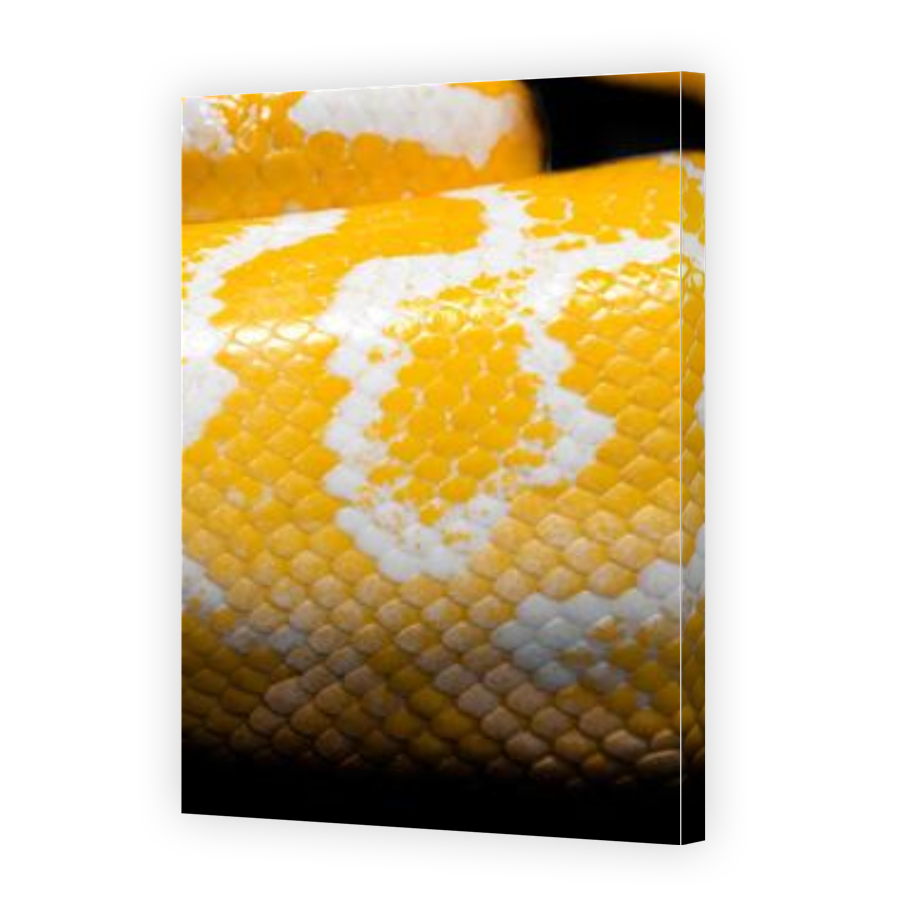 Thumbnail for Canvas - Gallery Canvas Wrap