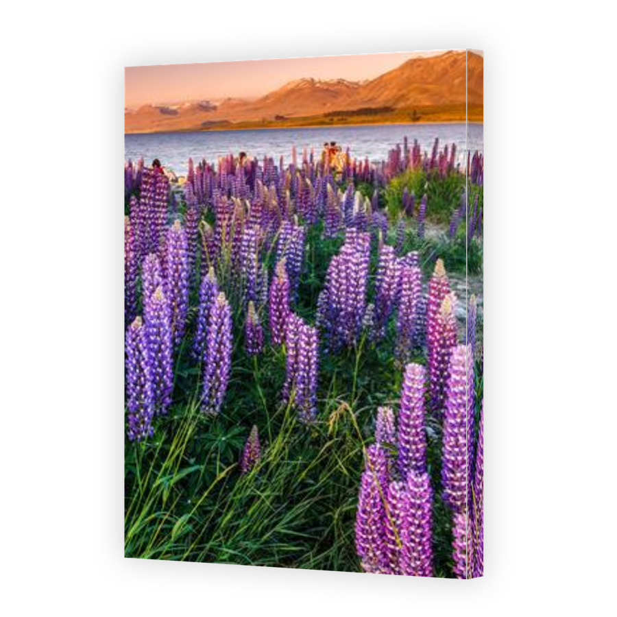 Thumbnail for Canvas - Gallery Canvas Wrap